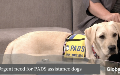 GLOBAL BC: DOUBLE YOUR DONATION – INTERNATIONAL ASSISTANCE DOG WEEK